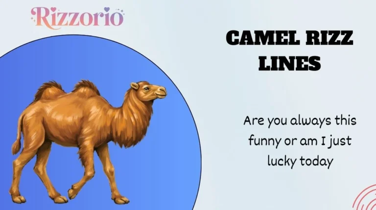 Camel Rizz Lines